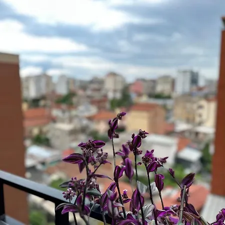 Apartment Erg *